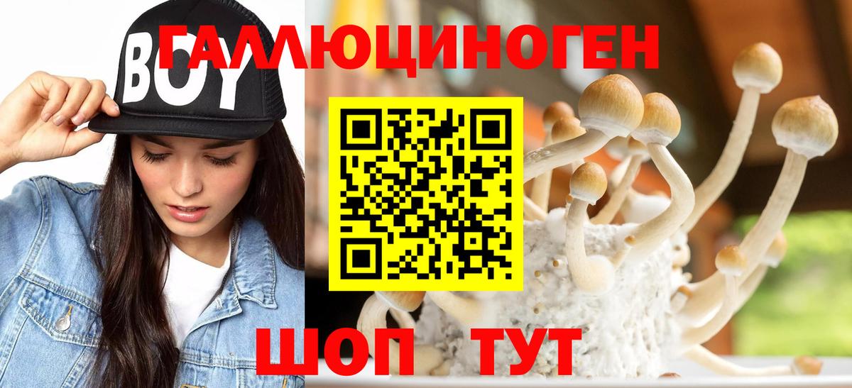 Галлюциногенные грибы мицелий  Галлюциногенные грибы ЛСД  Минеральные Воды  Вход с VPN 
