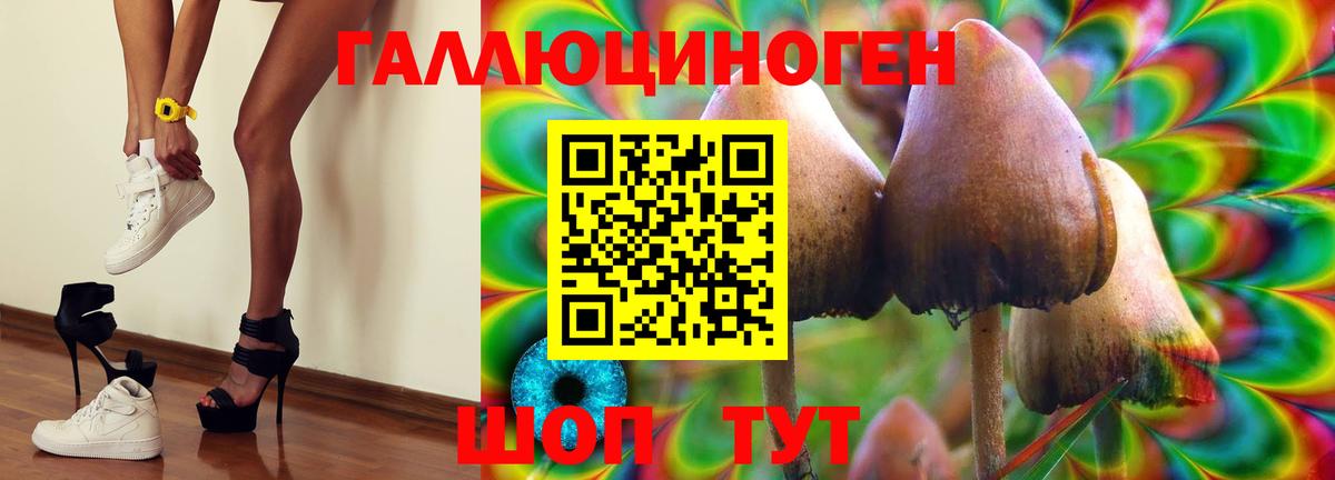 Галлюциногенные грибы прущие грибы Минеральные Воды